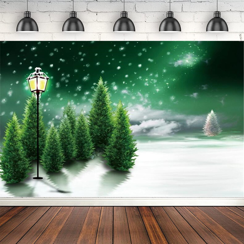 Photography Lighting White Background - Fondo de fotografía copos de nieve