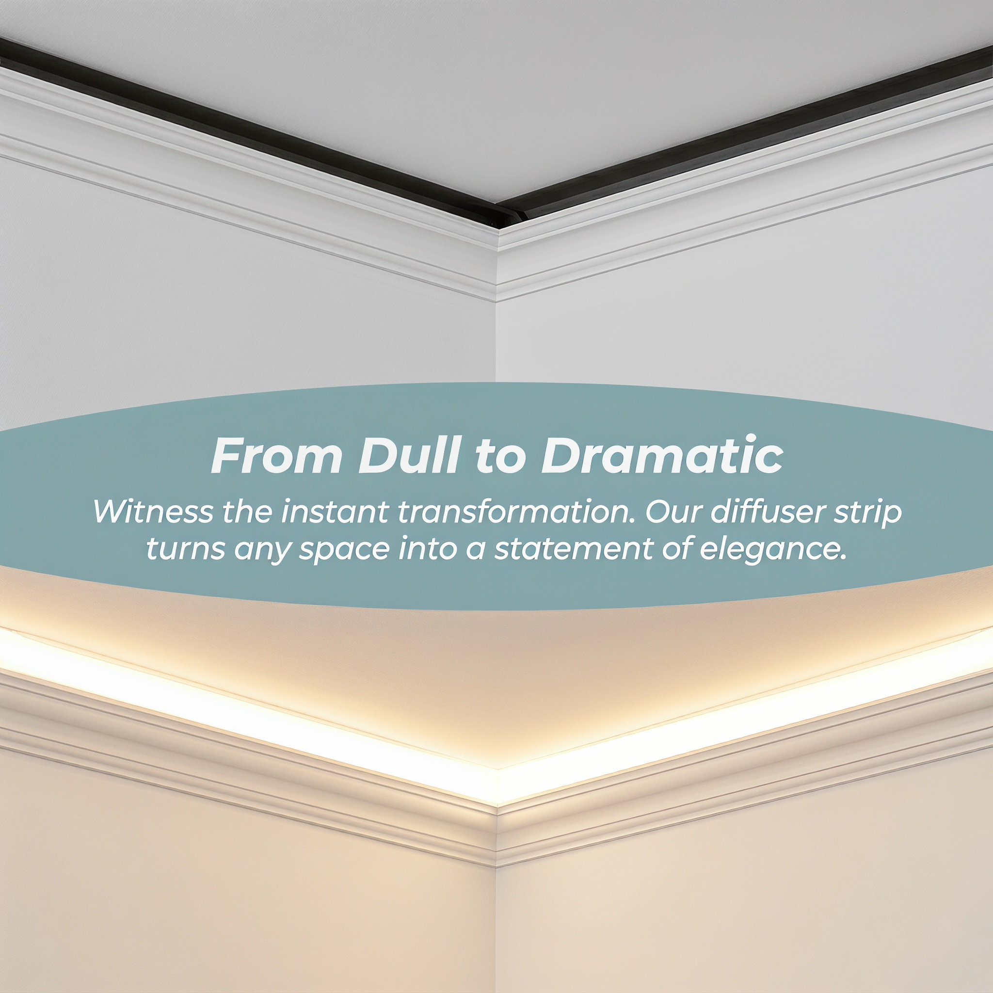 Panel de tira difusora de luz  - Photography Lighting Led reseña y precio